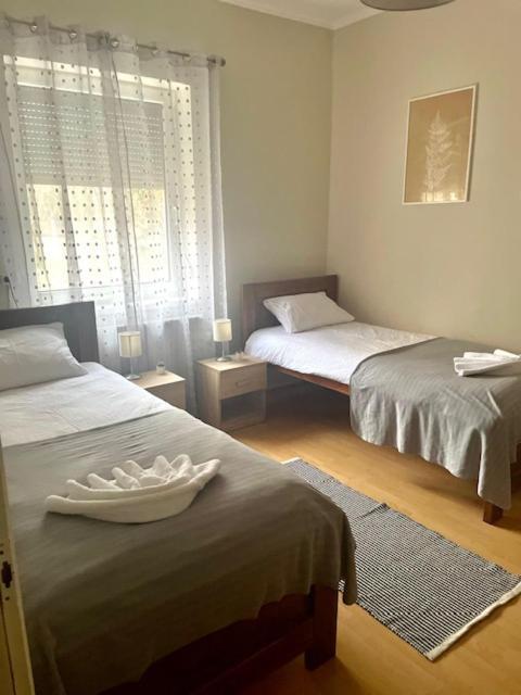 Alice Vendeghaz Bed and Breakfast Kalocsa Eksteriør billede